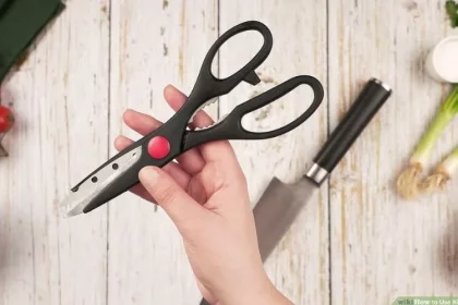 kitchen scissors