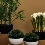 artificial indoor plants