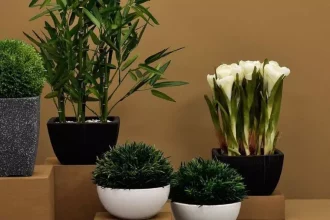 artificial indoor plants