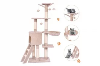 Inexpensive cat furniture