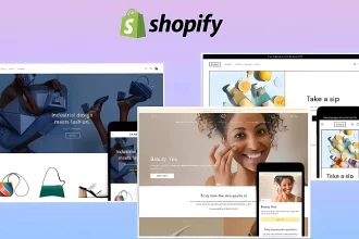 shopify website design | Thesinstyle