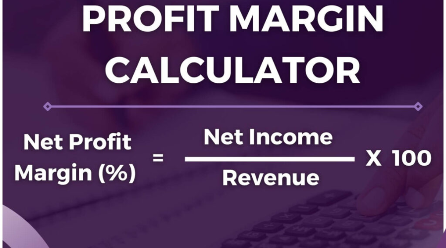 profit margin calculator | Thesinstyle