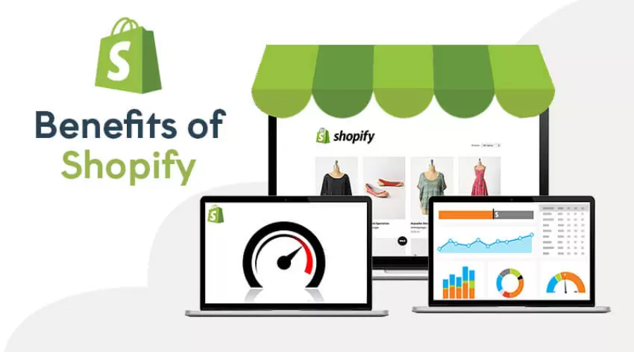 shopify professional services | Thesinstyle