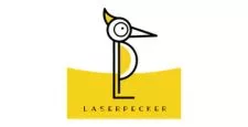 dual laser engraver | Thesinstyle